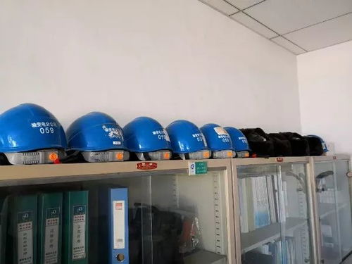 第十期暖心行動(dòng) 團(tuán)組織綠化服務(wù)點(diǎn)亮美好社區(qū)