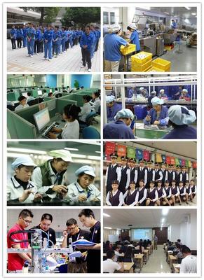 藍(lán)橋國(guó)際——專業(yè)勞務(wù)服務(wù)的背景與來歷